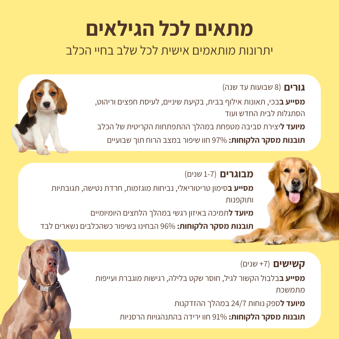 ערכת דיפיוזר מרגיע לכלבים