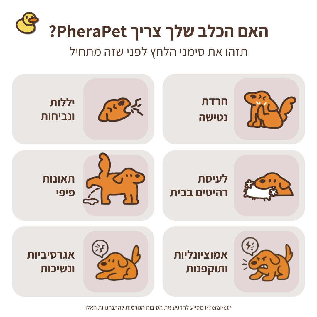ערכת דיפיוזר מרגיע לכלבים