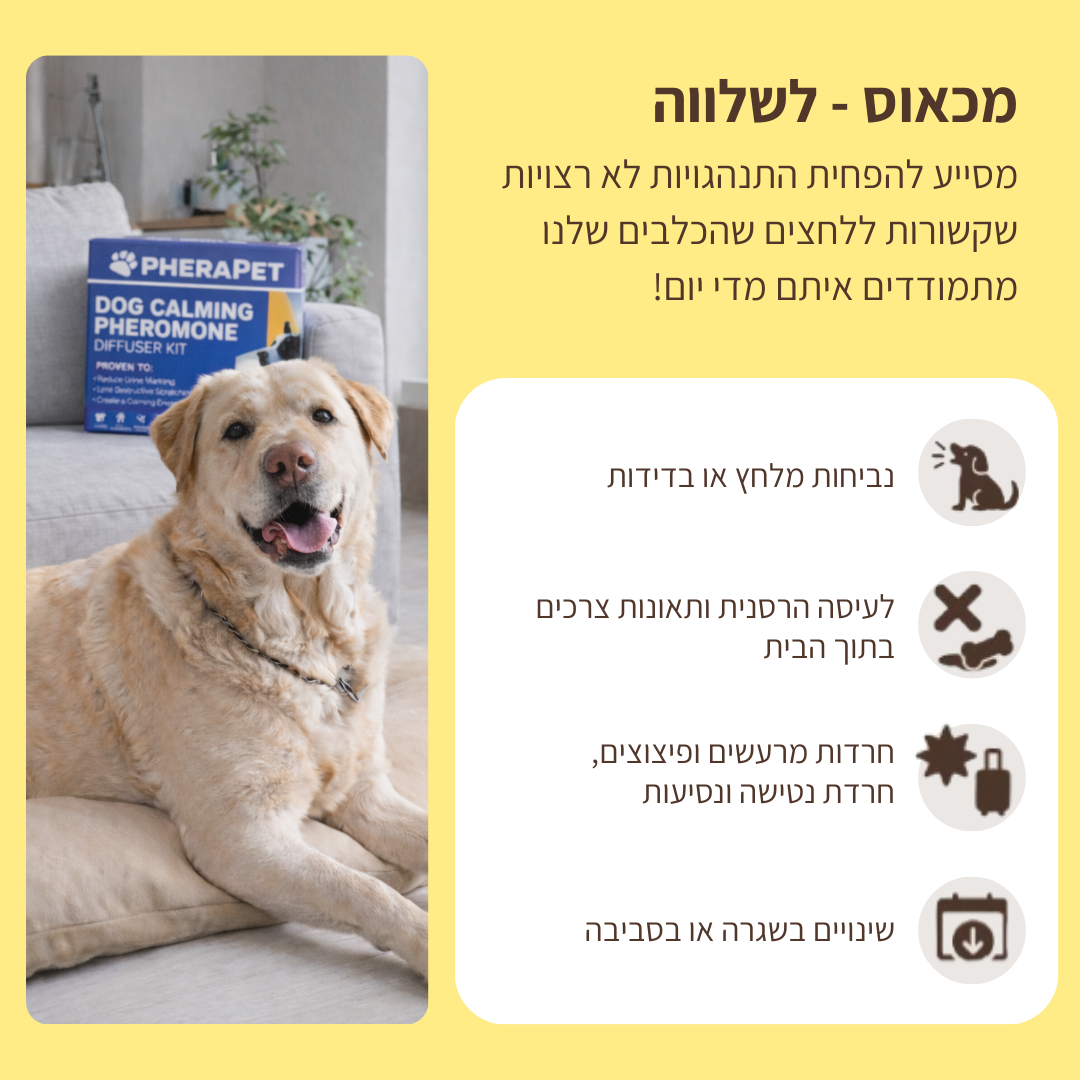 ערכת דיפיוזר מרגיע לכלבים