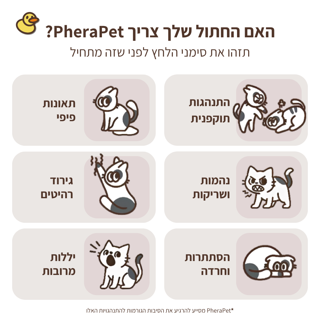 ערכת דיפיוזר מרגיע לחתולים