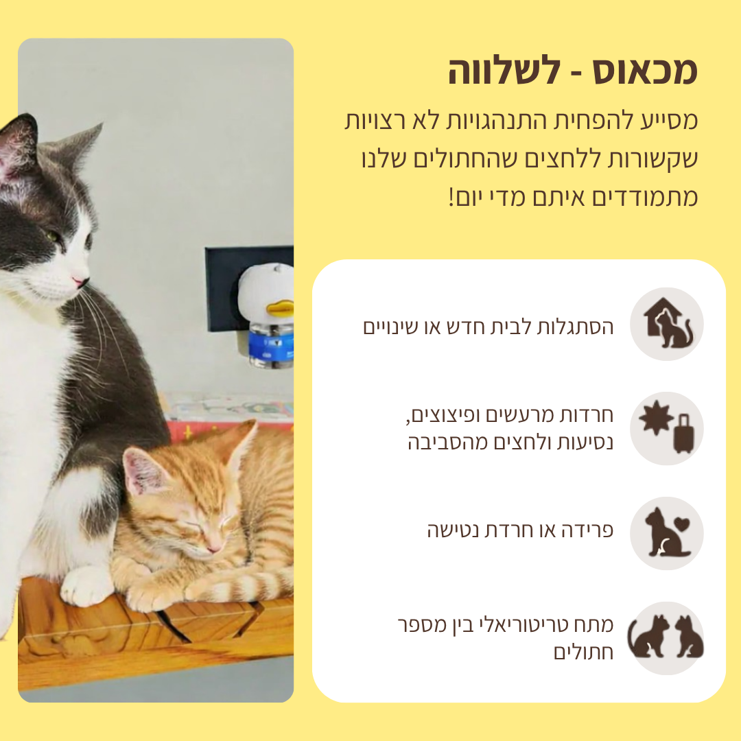 ערכת דיפיוזר מרגיע לחתולים