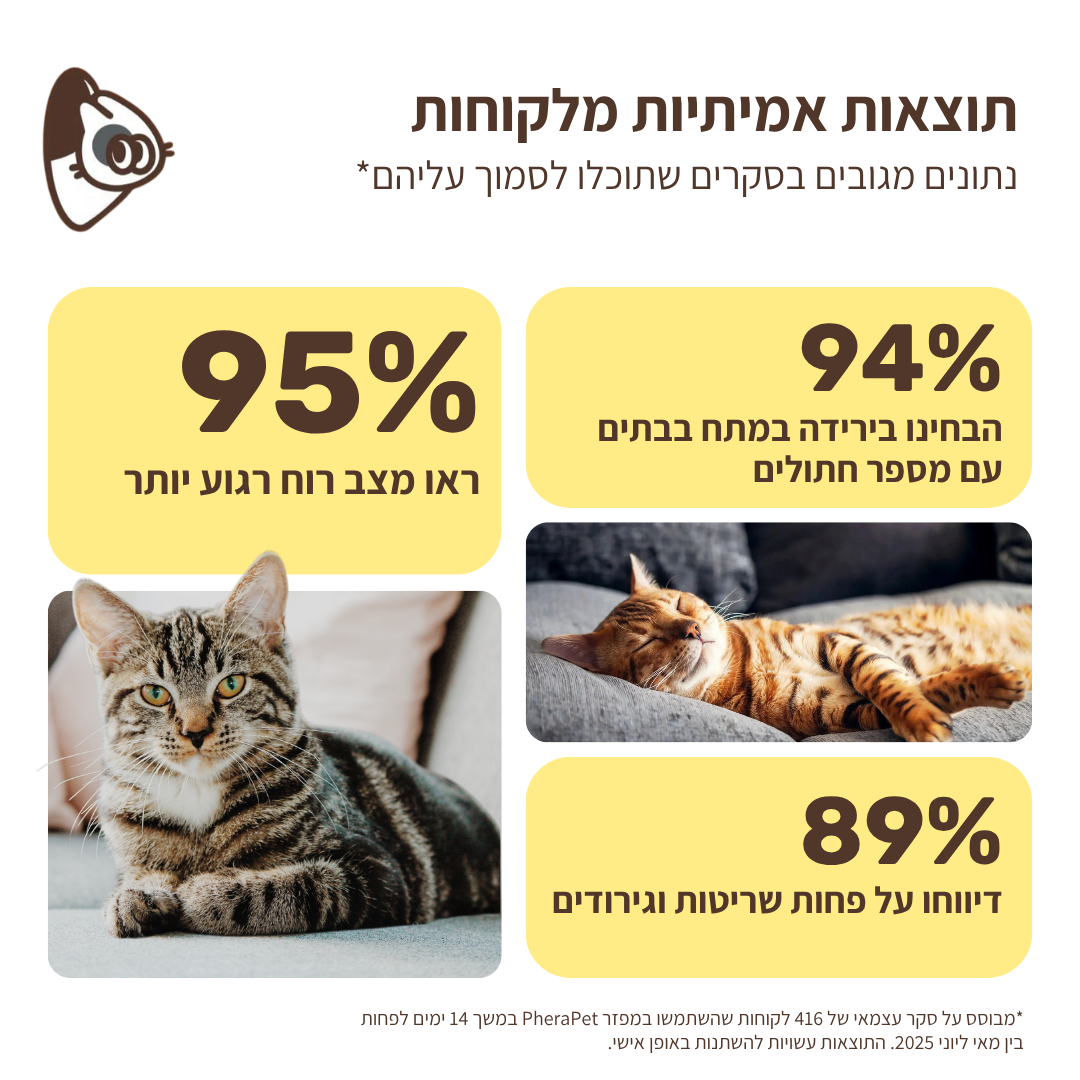 ערכת דיפיוזר מרגיע לחתולים
