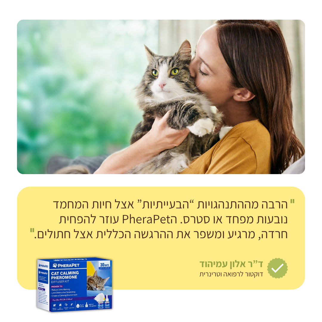 ערכת דיפיוזר מרגיע לחתולים