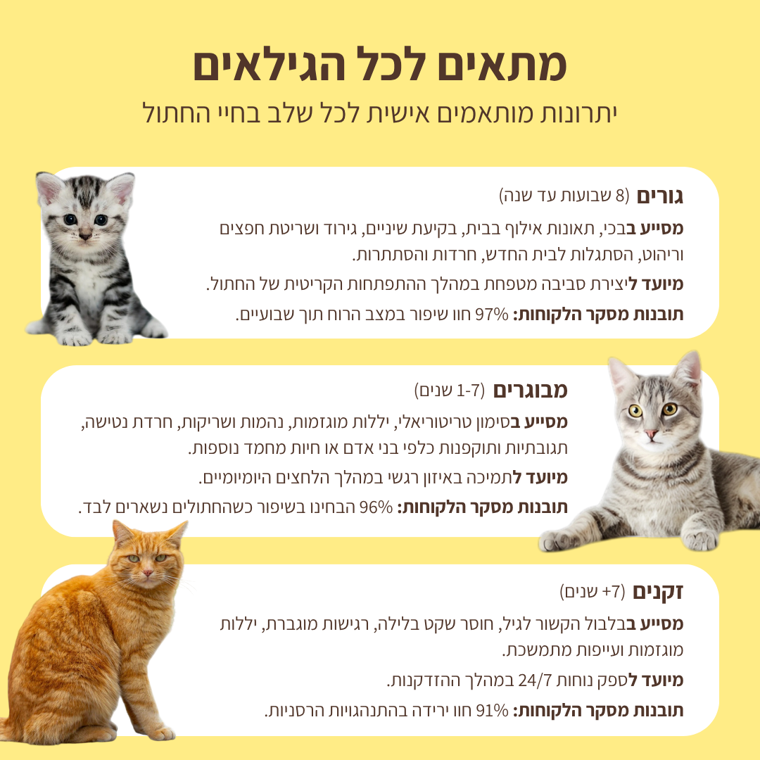 ערכת דיפיוזר מרגיע לחתולים