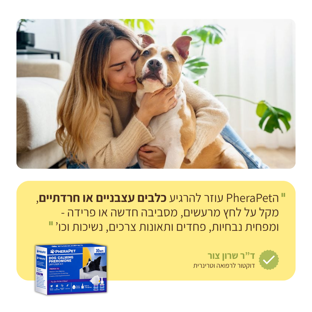 ערכת דיפיוזר מרגיע לכלבים
